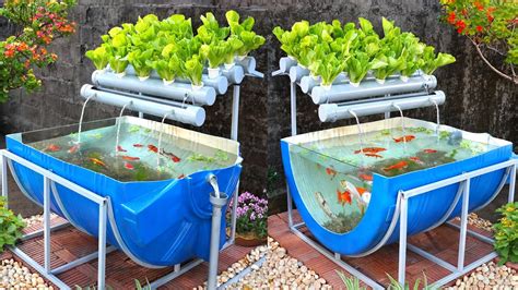 Aquaponics: A Self Sustainable Cultivation Using Fish-Plant Symbiosis ...