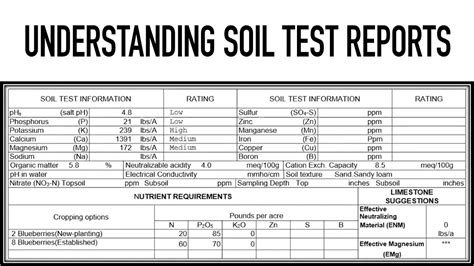 Understanding Soil Test Reports - YouTube