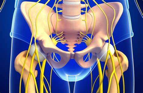 Understanding and Managing Groin Nerve Pain - Sport Doctor London