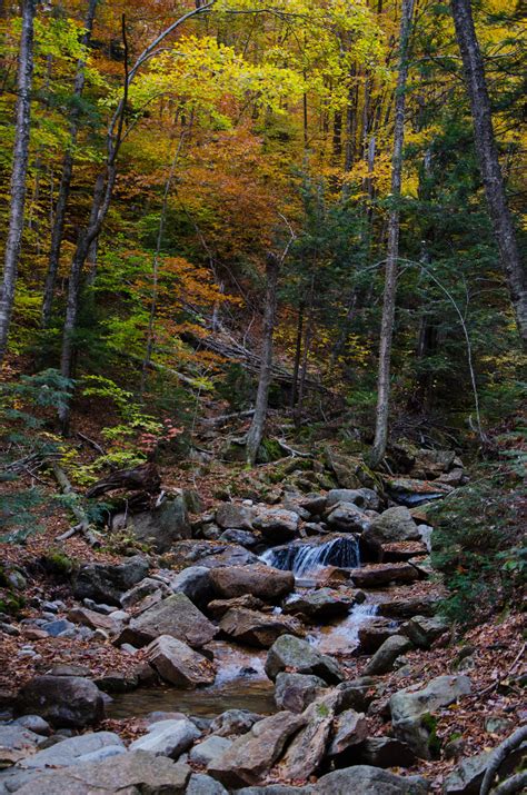 White Mountains Fall Foliage 251 by FairieGoodMother on DeviantArt