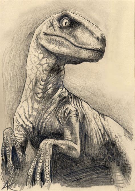 perder tomar el pelo Legibilidad velociraptor dibujo a lapiz Centrar ...