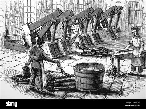 Line engraving depicting a mill for fulling cloth to remove oil and re ...