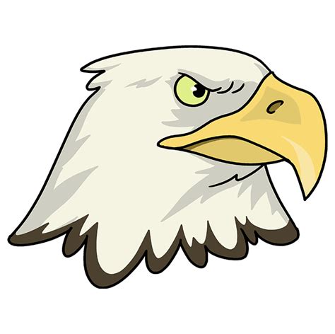 How to Draw an Eagle Head - Really Easy Drawing Tutorial