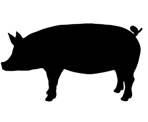 Show Pig Silhouette - Black and White Animal Silhouette