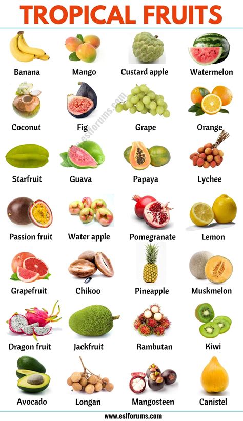 Tropical Fruits: List of 25+ Popular Tropical Fruits in English - ESL ...