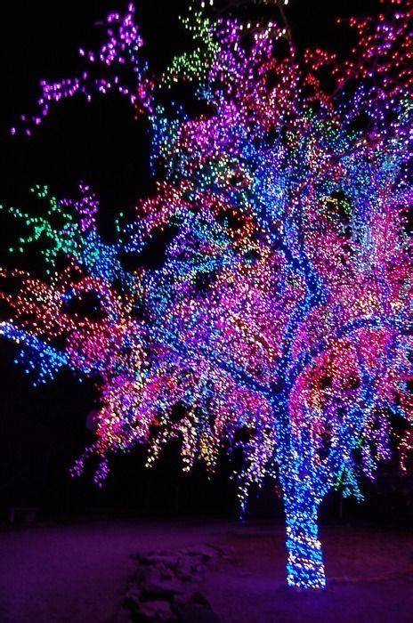 Beautiful Colorful Christmas Tree Pictures, Photos, and Images for ...