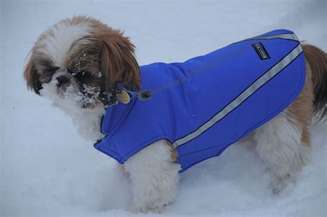 The well dressed Shih Tzu! | Custom dog coats, Dog clothes, Dog coats