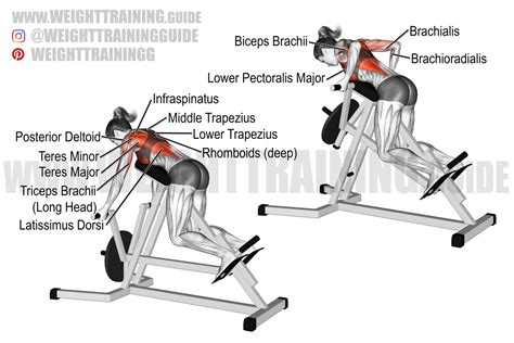 Chest-supported underhand-grip T-bar row exercise instructions