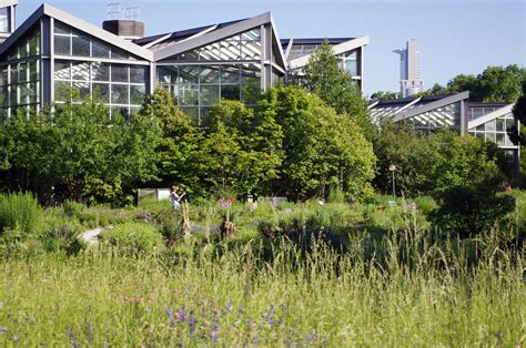 The great plant hunt in the botanical gardens of Frankfurt | Flora obscura