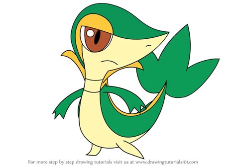 Learn How to Draw Snivy from Pokemon (Pokemon) Step by Step : Drawing ...