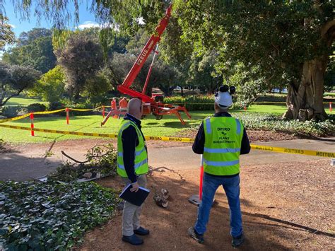 News Story - PSHB Tree Management at Hyde Park » City of Vincent