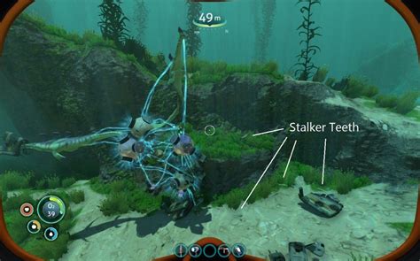 Subnautica: How to Get the Stalker Tooth – Craftable Worlds