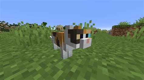 How to Tame a Cat in Minecraft (2021) - Pro Game Guides