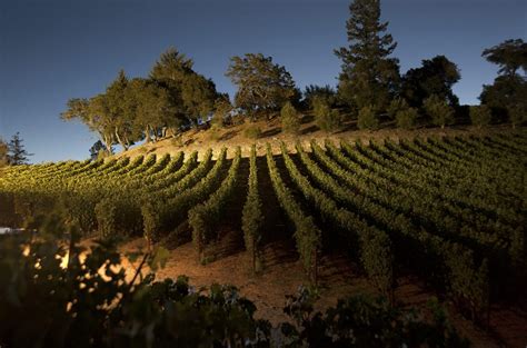 St Helena 2019: the top Cabernets from this Napa AVA - Decanter