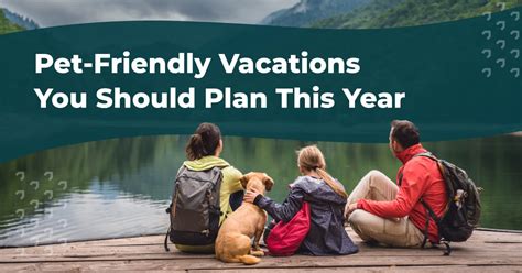 The Best Pet-Friendly Vacations for You and Your Dog | Evolve