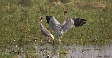 The enchanting "Golden Triangle Tour" of India.