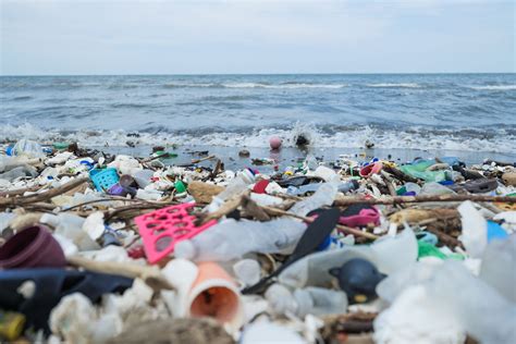 Ocean Plastic Pollution Explained • The Ocean Cleanup