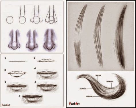 Drawings: Drawing tips and techniques | Nose drawing, Drawing tips ...