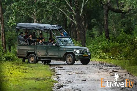 Coorg Wildlife Sanctuary Sightseeing Tour Packages - Etravelfly