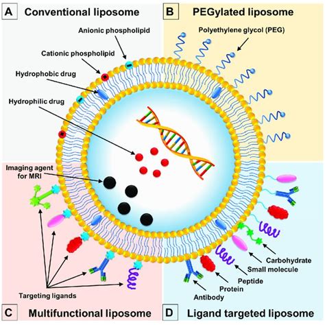 (PDF) Soy Lecithin-Derived Liposomal Delivery Systems: Surface ...