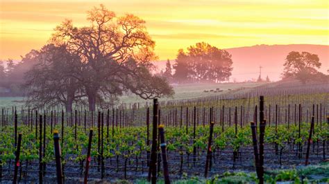 Sebastopol, CA Travel Guide | Wine Country Stays