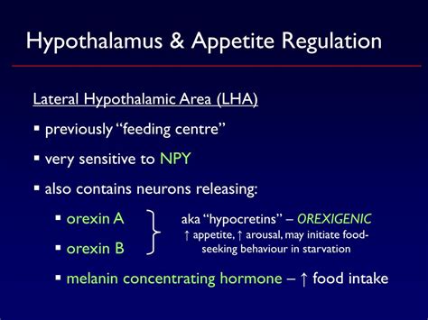 PPT - Appetite Regulation PowerPoint Presentation, free download - ID ...