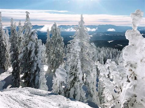 50+ Spectacular Shots that Showcase the Beauty of the Canadian Winter