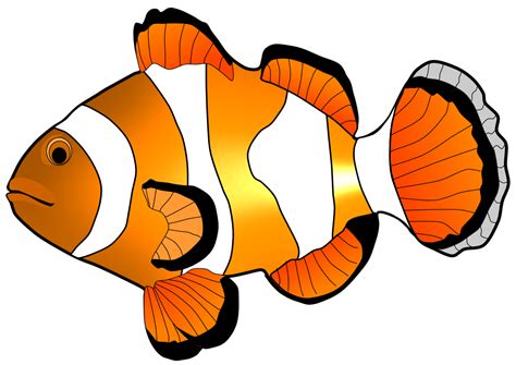 Fish Clip Art - ClipArt Best