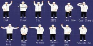 Cricket Umpire Hand Signals and What They Mean in Cricket | CricketBio