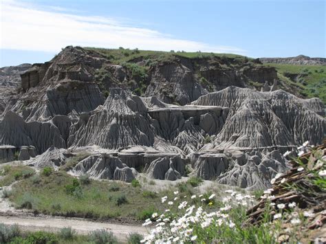 Badlands Fossils Drumheller - Free photo on Pixabay