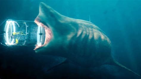 Megalodon Film