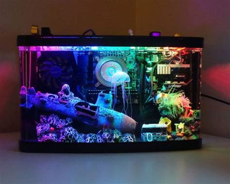 This Aquarium Gaming PC Build Is Incredible - Grown Gaming in 2023 ...