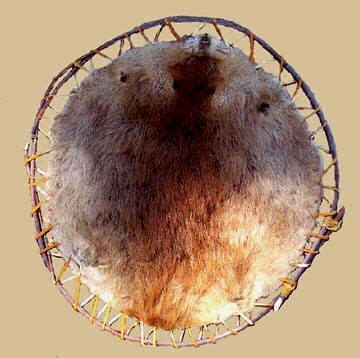 BEAVER PELT STRETCHED FOR DRYING ON A WILLOW HOOP | Fur trade, Beaver ...