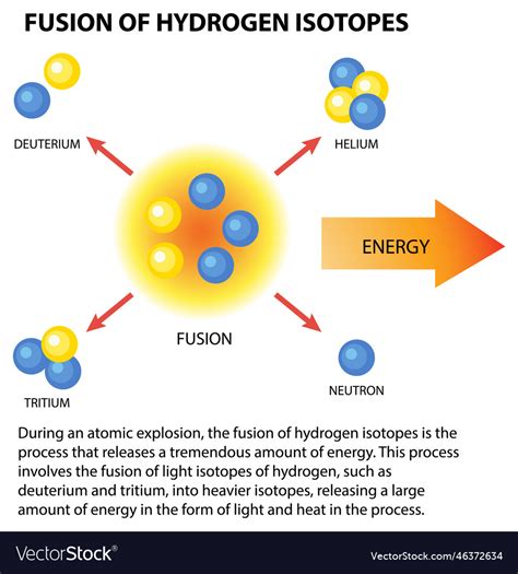 Fusion of hydrogen isotopes Royalty Free Vector Image