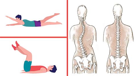 6 Stretches That Can Help Heal Scoliosis | 6 Minute Read