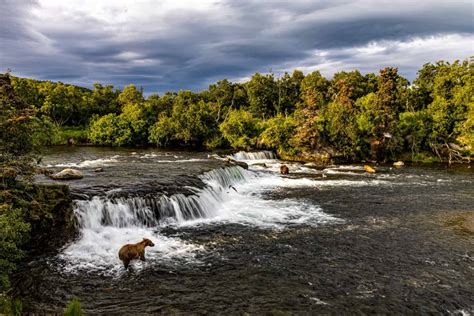 Your guide to visiting Brooks Falls in Katmai National Park - Bear ...