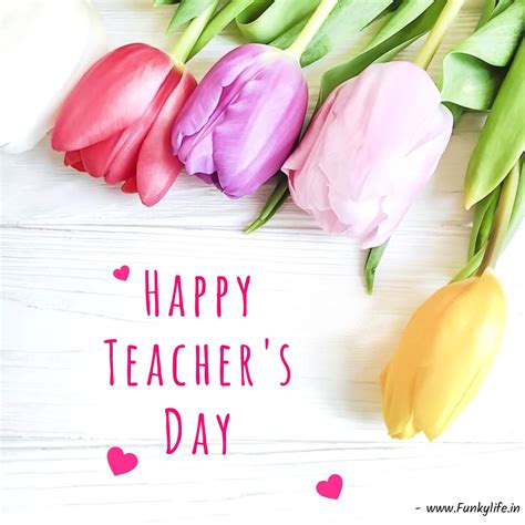 Happy Teachers Day Wishes Roses Flowers Hd Wallpaper | Images and ...