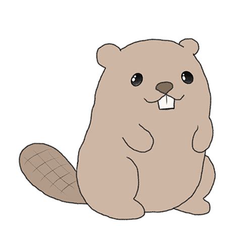 How To Draw A Beaver Easy