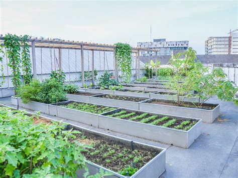 Roof Garden Design - How To Build A Rooftop Garden