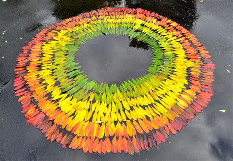 Andy Goldsworthy Fall Leaves – Moss and Fog