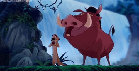 Pumbaa Pictures, Images - Page 4