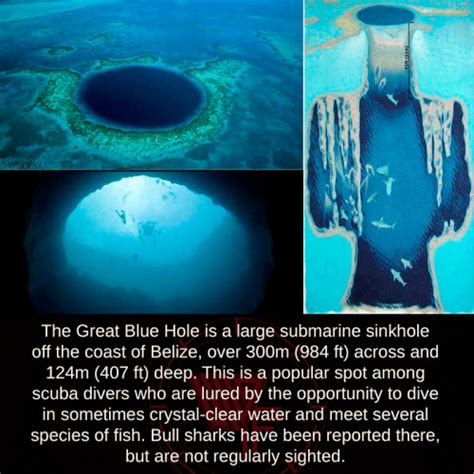 great blue hole in belize | Tumblr