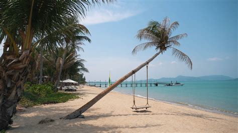 Coconut Island - Ein Ausflug nach Koh Maphrao - Discover Thailand