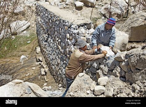 Los trabajadores reparación de muro de contención de piedra, Ladakh ...