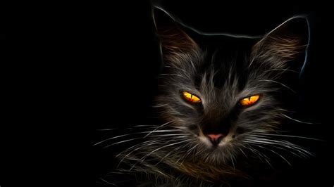 Download Black Cat Yellow Eyes Animal Cat 4k Ultra HD Wallpaper