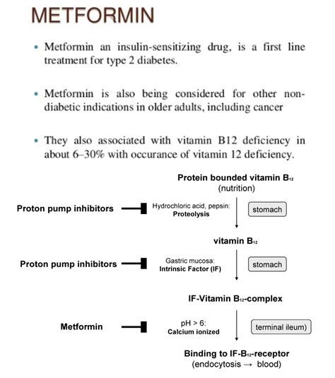 My collections for NEET PG: Metformin and B12 deficiency