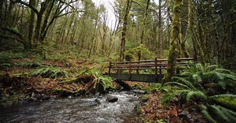 The 5 best hikes near Corvallis, Oregon