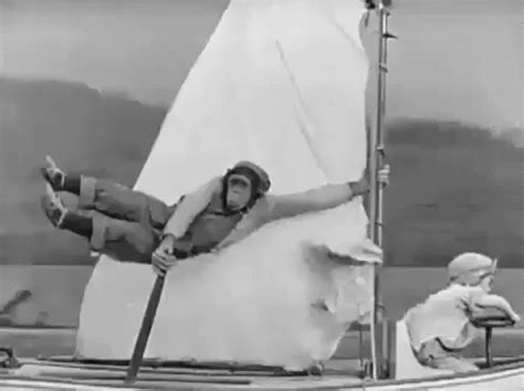 Monkey Funny Animals GIF - Monkey Funny Animals Sailing - Discover ...