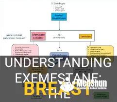 Understanding Exemestane: The Powerhouse Breast Cancer Treatment | MedShun