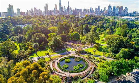 10 Must-Do Activities in and Around the Yarra River - Melbourne River ...